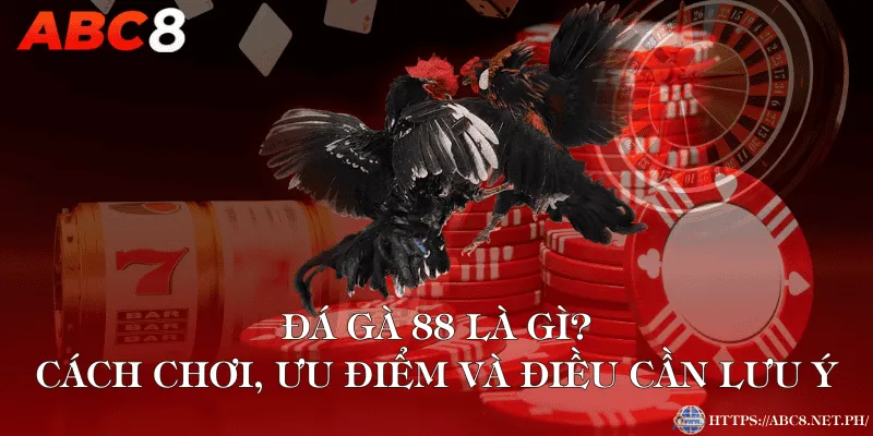 Đá Gà 88 Là Gì? Cách Chơi, Ưu Điểm Và Điều Cần Lưu Ý