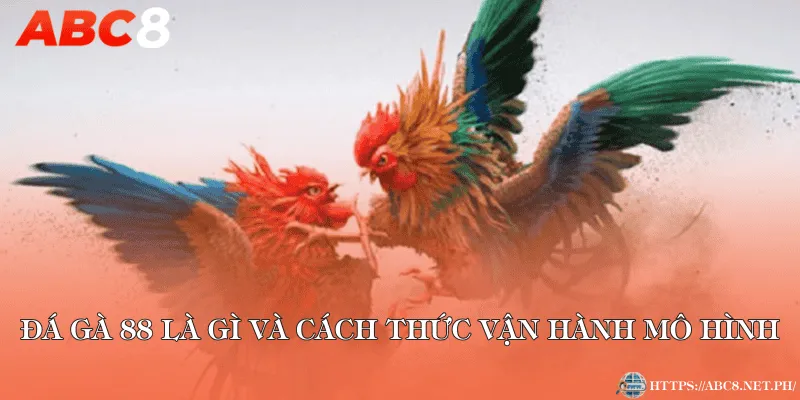 Đá gà 88 là gì và cách thức vận hành mô hình
