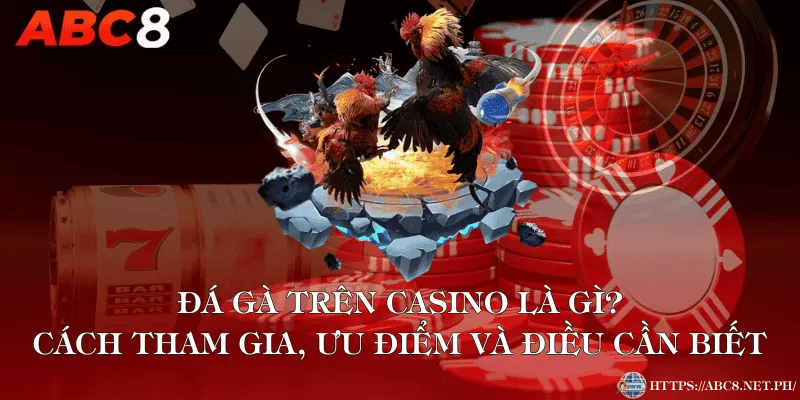 Đá Gà Trên Casino Là Gì? Cách Tham Gia, Ưu Điểm Và Điều Cần Biết