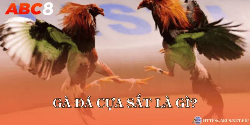 Gà đá cựa sắt là gì?