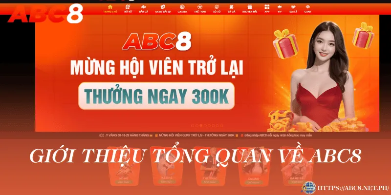 Giới thiệu tổng quan về ABC8