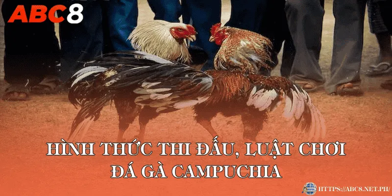 Hình thức thi đấu, luật chơi đá gà Campuchia