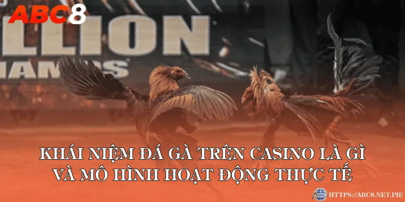 Khái niệm đá gà trên casino là gì và mô hình hoạt động thực tế