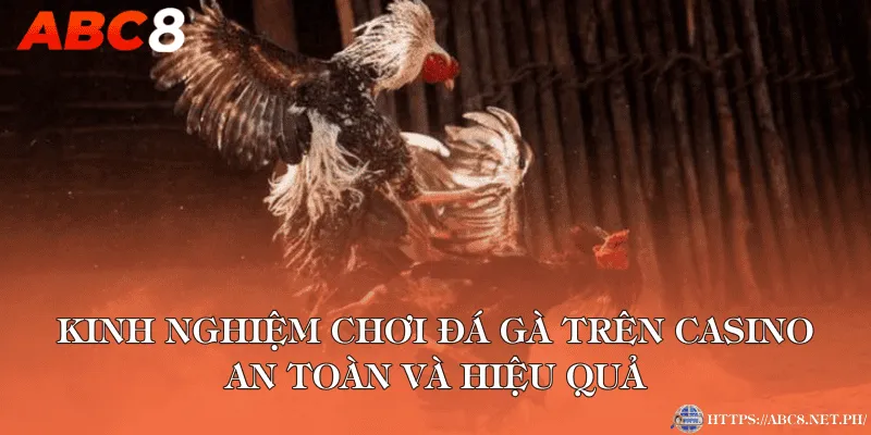Kinh nghiệm chơi đá gà trên casino an toàn và hiệu quả
