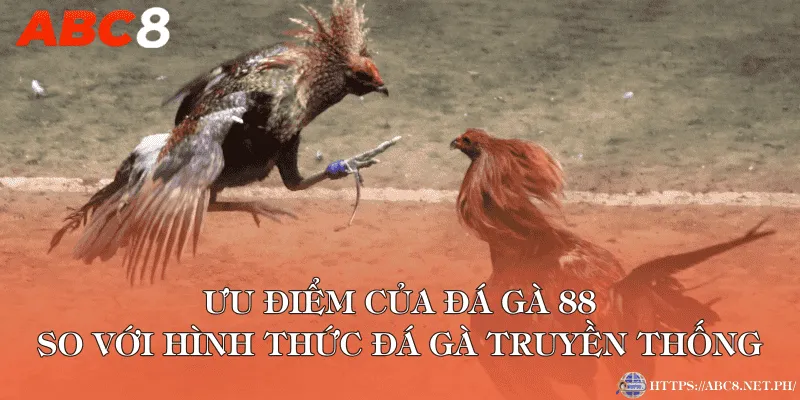 Ưu điểm của đá gà 88 so với hình thức đá gà truyền thống