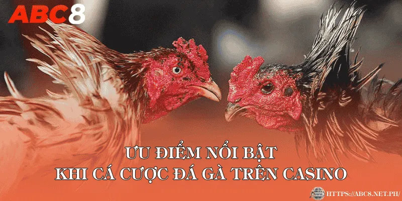 Ưu điểm nổi bật khi cá cược đá gà trên casino
